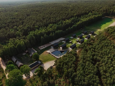 Day, Neighbourhood, Natural landscape, Bird's eye view