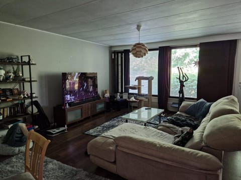 Communal lounge/ TV room, TV and multimedia, Living room, Seating area, Evening entertainment, fireplace