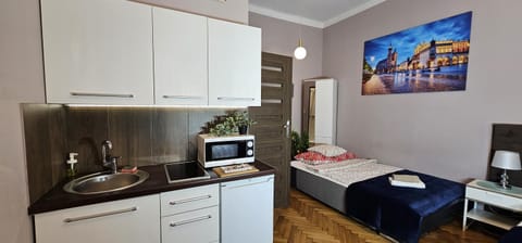 Kitchen or kitchenette, Photo of the whole room, oven, stove