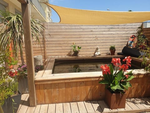 Garden, Swimming pool
