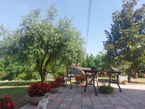 Patio, Day, Garden, Garden, Dining area, Garden view