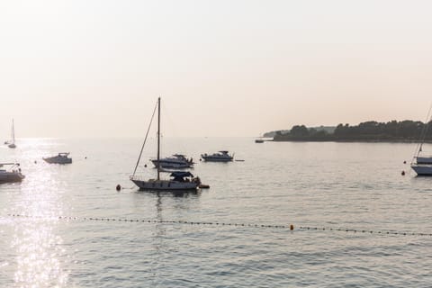 Apartment Tramonto Apartment in Novigrad