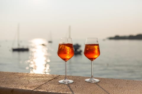 Apartment Tramonto Apartment in Novigrad