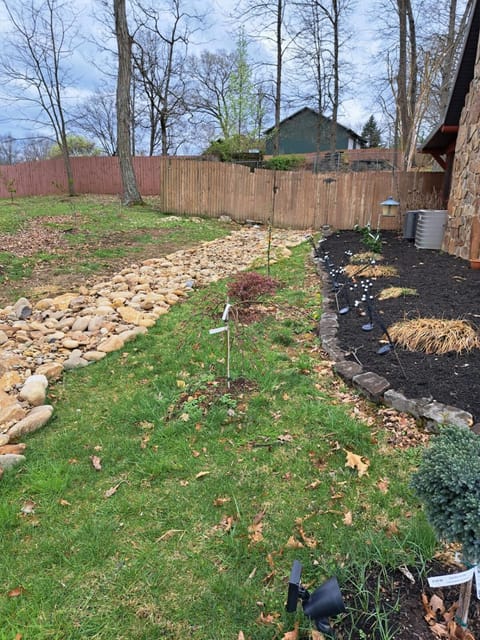 Cabin Cabin in Johnson City