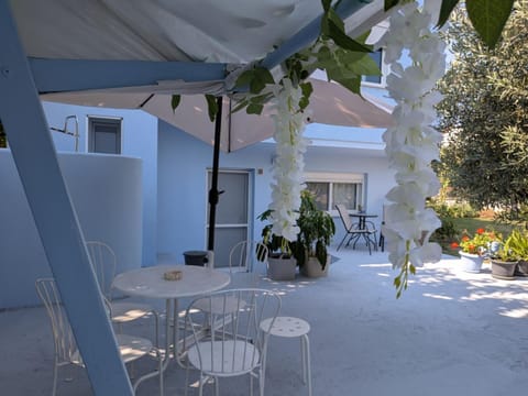 Day, Garden view