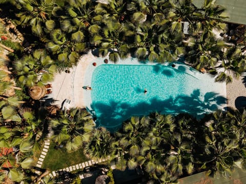 Bird's eye view, Landmark view, Pool view