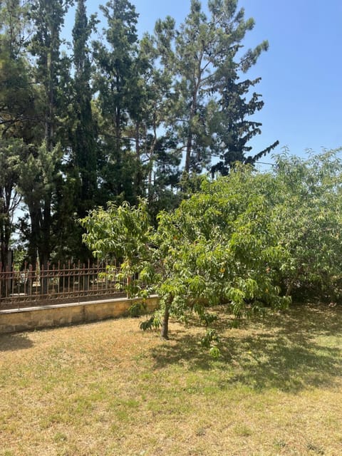 Persephone Apartment Potidea Apartment in Halkidiki