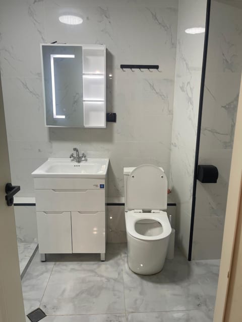 Toilet, Bathroom