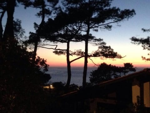 Garden, Sea view, Sunset