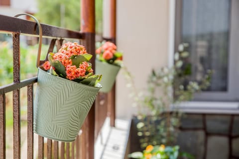 4 seasons home Ofrinio House in Decentralized Administration of Macedonia and Thrace