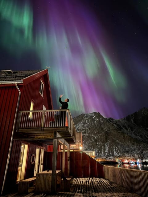 Seahouse with Panoramic Sea View House in Lofoten