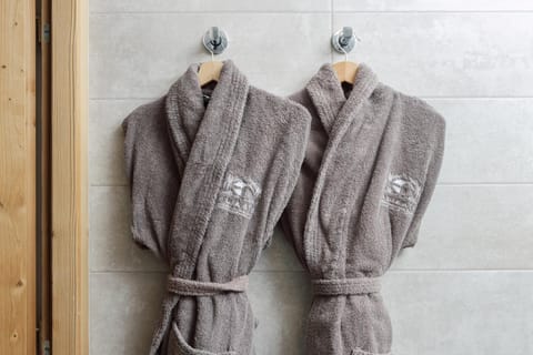 Chalet La Bise Chalet in Les Gets