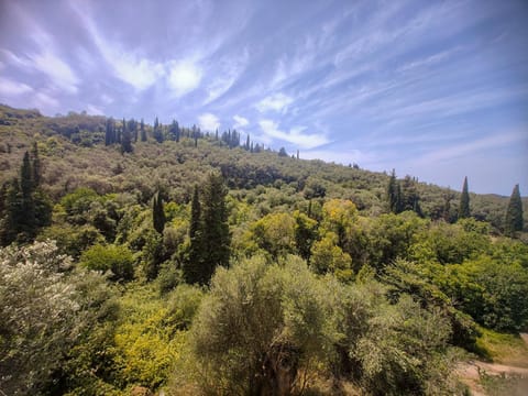Natural landscape, Mountain view