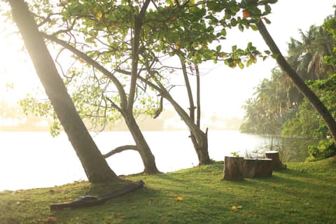 Natural landscape, Garden view, River view