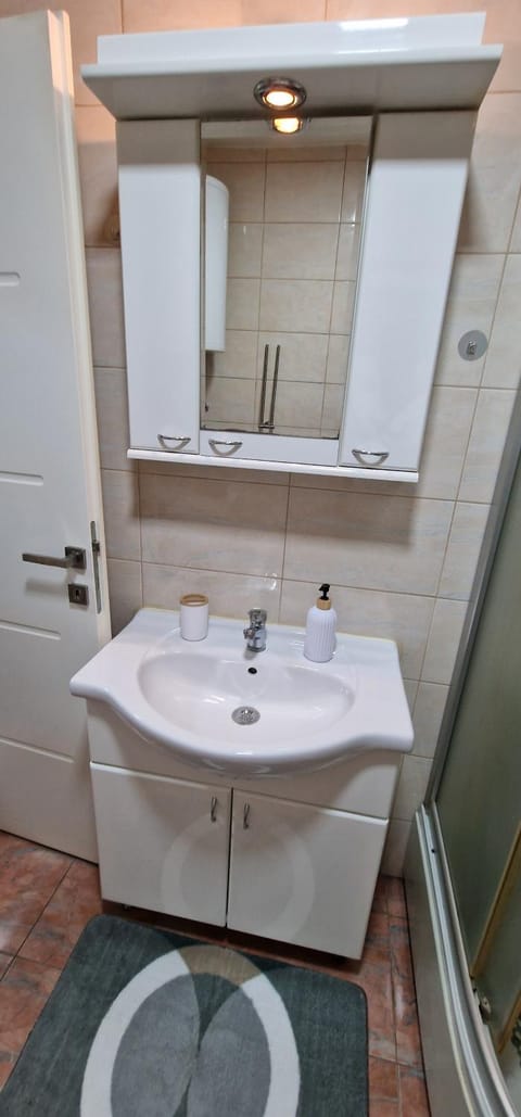 Luxury apartment in the city center Apartment in Serbia