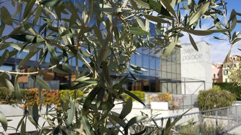 Riviera Palace Residence Apartment hotel in Loano