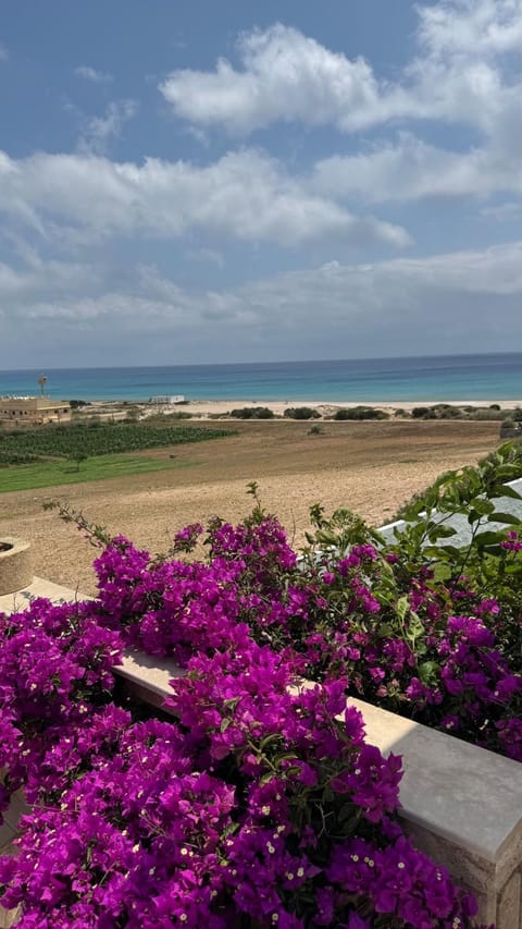 Sea view