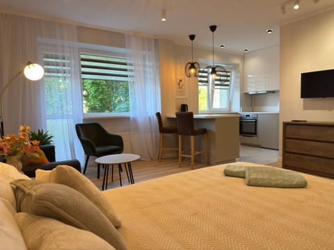Bed, Kitchen or kitchenette, Living room, Photo of the whole room, Seating area, Bedroom