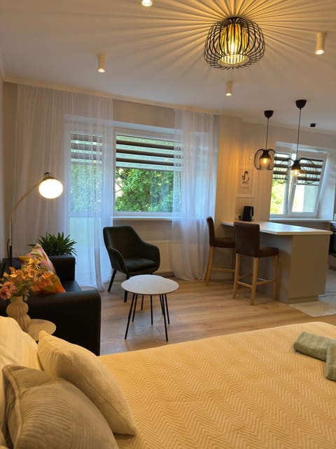 Bed, Living room, Photo of the whole room, Seating area, Bedroom