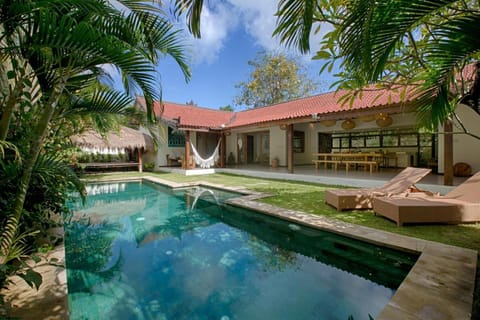 Garden, Garden view, Pool view, Swimming pool, sunbed