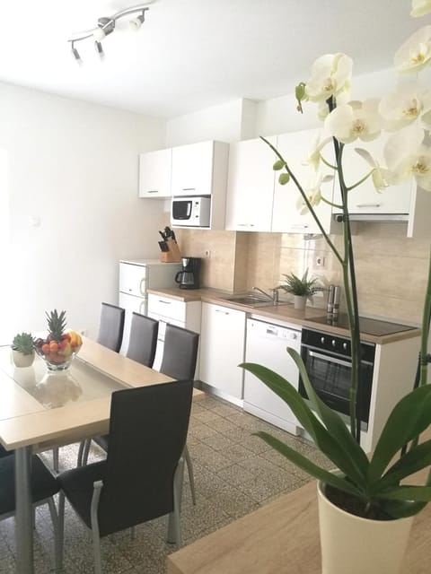 Authentic Dalmatian House Apartment in Šibenik-Knin County, Croatia