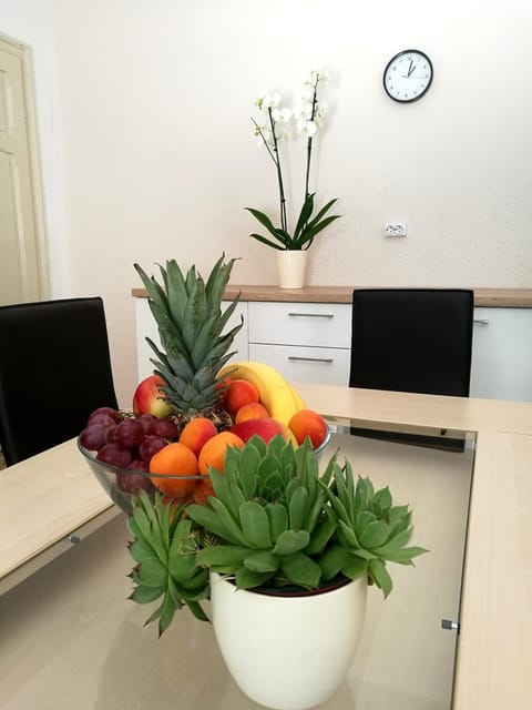 Authentic Dalmatian House Apartment in Šibenik-Knin County, Croatia