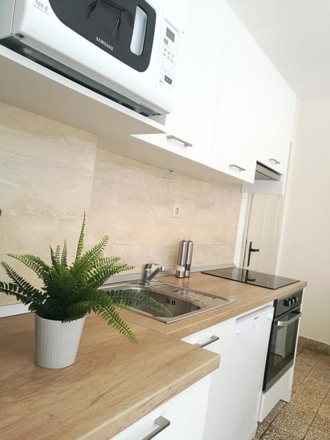 Authentic Dalmatian House Apartment in Šibenik-Knin County, Croatia