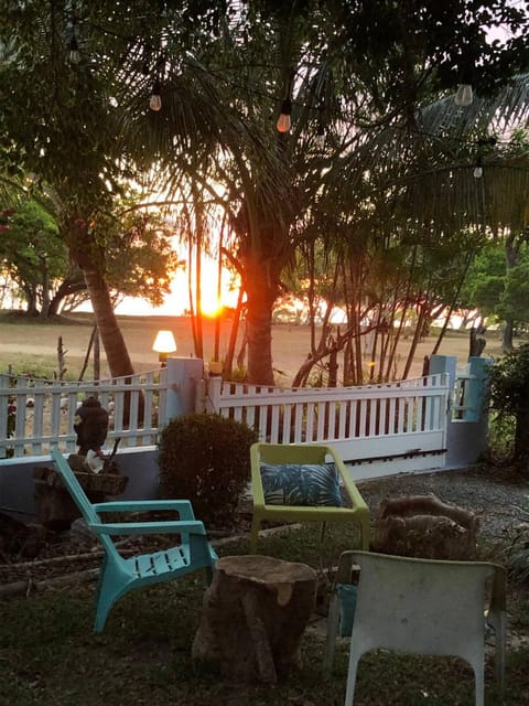 Garden, Sea view, Sunset