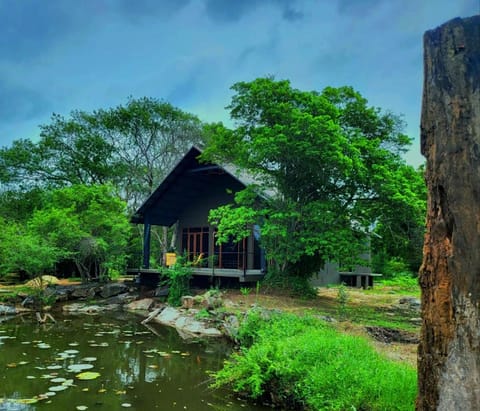 Property building, Day, Natural landscape