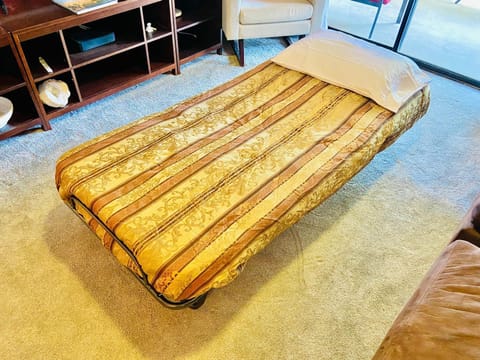 Bed, Living room, hair dresser