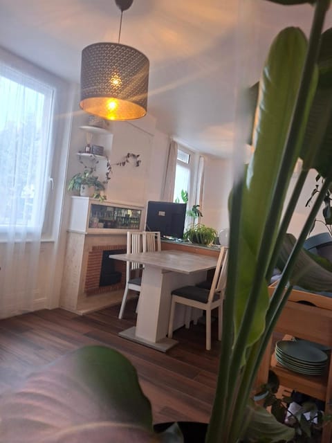 Hôte Stéphanois &parking Apartment in Saint-Étienne