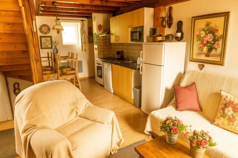 Coffee/tea facilities, Kitchen or kitchenette, Living room, Seating area, Dining area, oven, pet friendly, stove