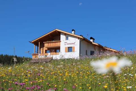 Property building, Natural landscape, Garden