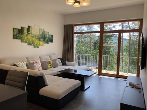 Balcony/Terrace, Living room, Seating area