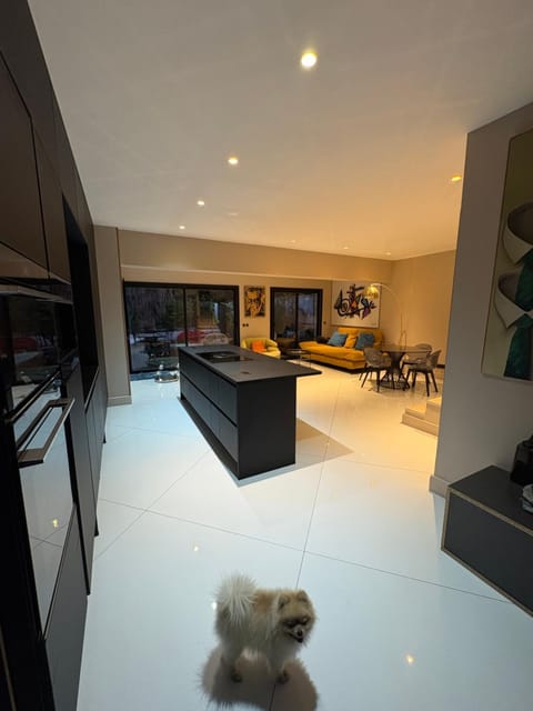 Villa Salamandre Villa in Cannes