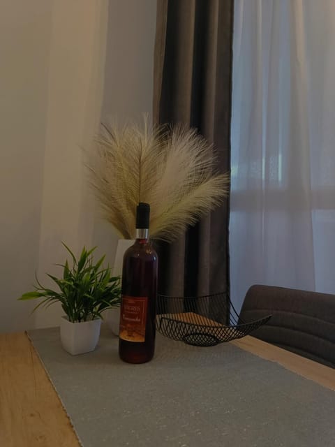 Udoban kutak 1 Apartment in Serbia