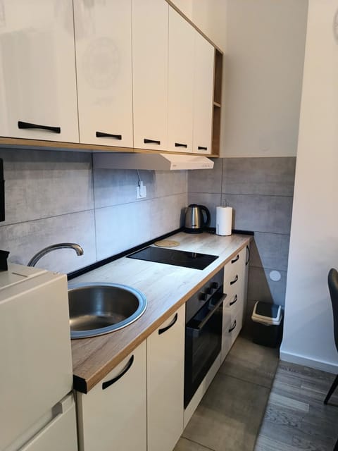 Udoban kutak 1 Apartment in Serbia