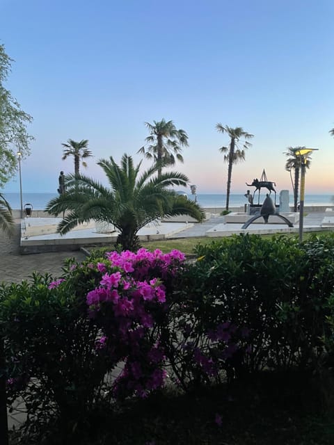 Sea view