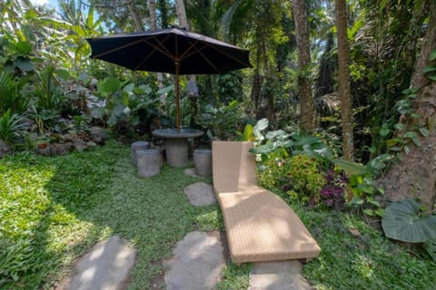 Patio, Natural landscape, Garden