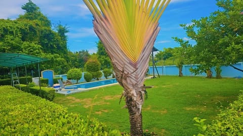 Spring, Day, Natural landscape, Garden, Garden, Garden view, Lake view, Pool view, Swimming pool, Swimming pool, sunbed