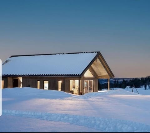 Property building, Winter