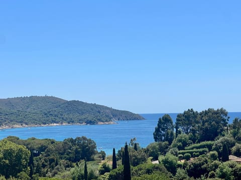 Patio, Sea view