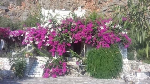 Spring, Day, Garden, Balcony/Terrace