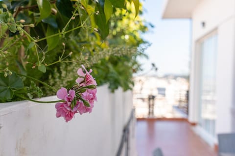 View (from property/room), Sea view