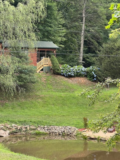 Willow Pond Cabin that is peaceful and quiet Cabin in Asheville