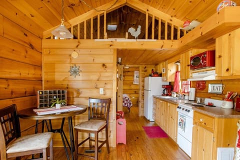 Willow Pond Cabin that is peaceful and quiet Cabin in Asheville