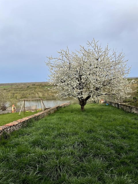 Garden, Balcony/Terrace, Garden view