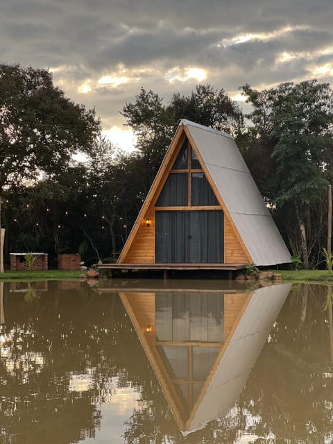 Lake view
