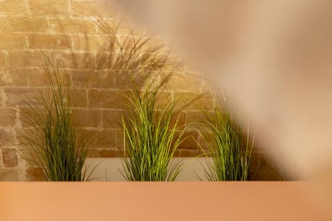 Residenza Anna Bed and Breakfast in Termoli