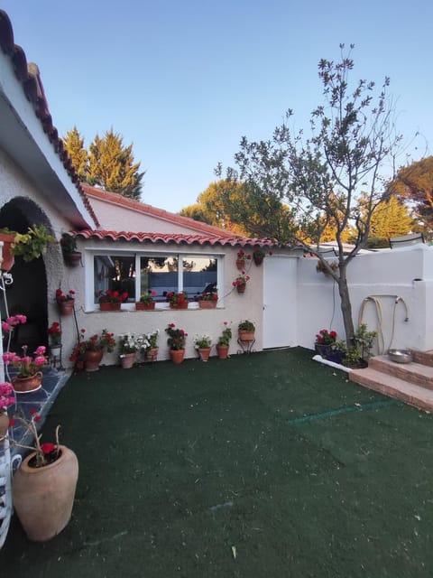 Property building, Spring, Day